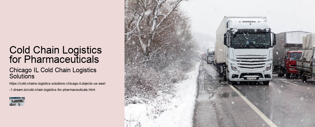 Cold Chain Logistics for Pharmaceuticals
